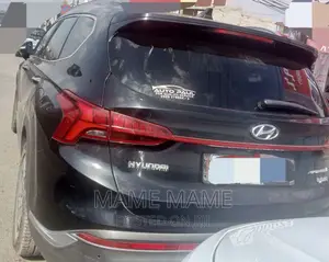Hyundai Santa Fe 2023 Gray