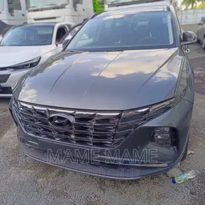 Hyundai Santa Fe 2023 Gray