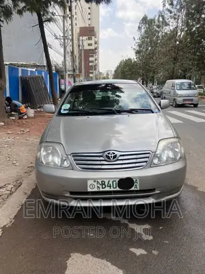 Toyota Corolla 2005 Gray