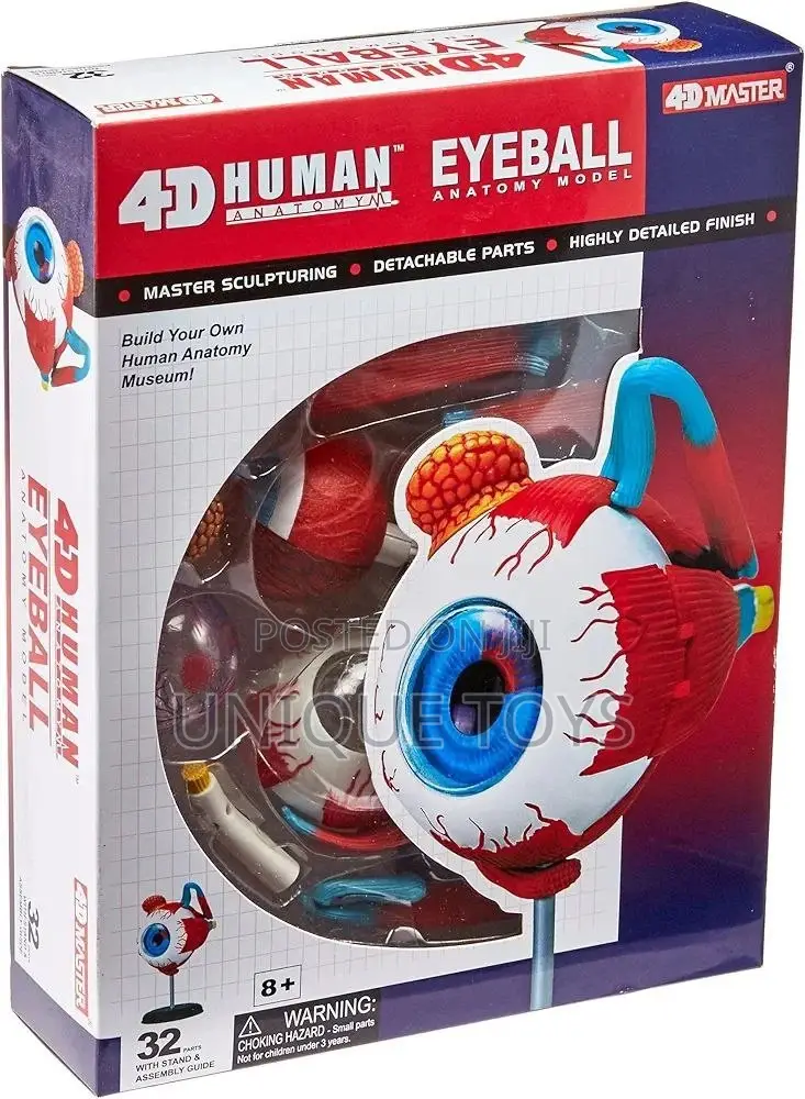 4d Human Anatomy Models