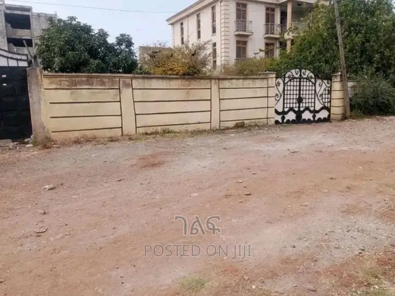 አያት ለመኖሪያ ምርጥ የሆነ ቦታ የዱሮ ዲጂታል ካርታ ያለው