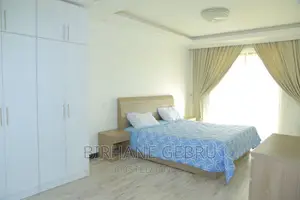 Furnished 2bdrm Penthouse in Real State, Bole for rent