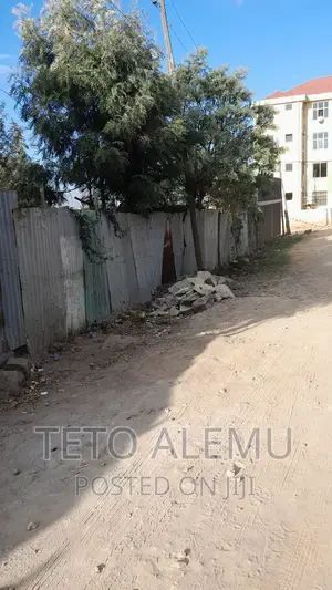የሚሸጥ ቦታ መሪ ጊፍት ፈራሽ የድሮ ቪላ ያለበት