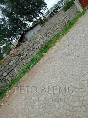 የሚሸጥ ቦታ ወሰን ነባር የድሮ ቪላ አለው
