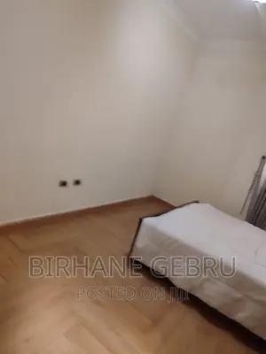 Furnished 3bdrm Apartment in Apartiment, Bole for rent