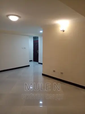 Furnished 2bdrm Condo in 40/60 Megenagna, Yeka for sale