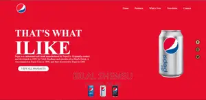 E-Commerce Website