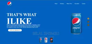 E-Commerce Website