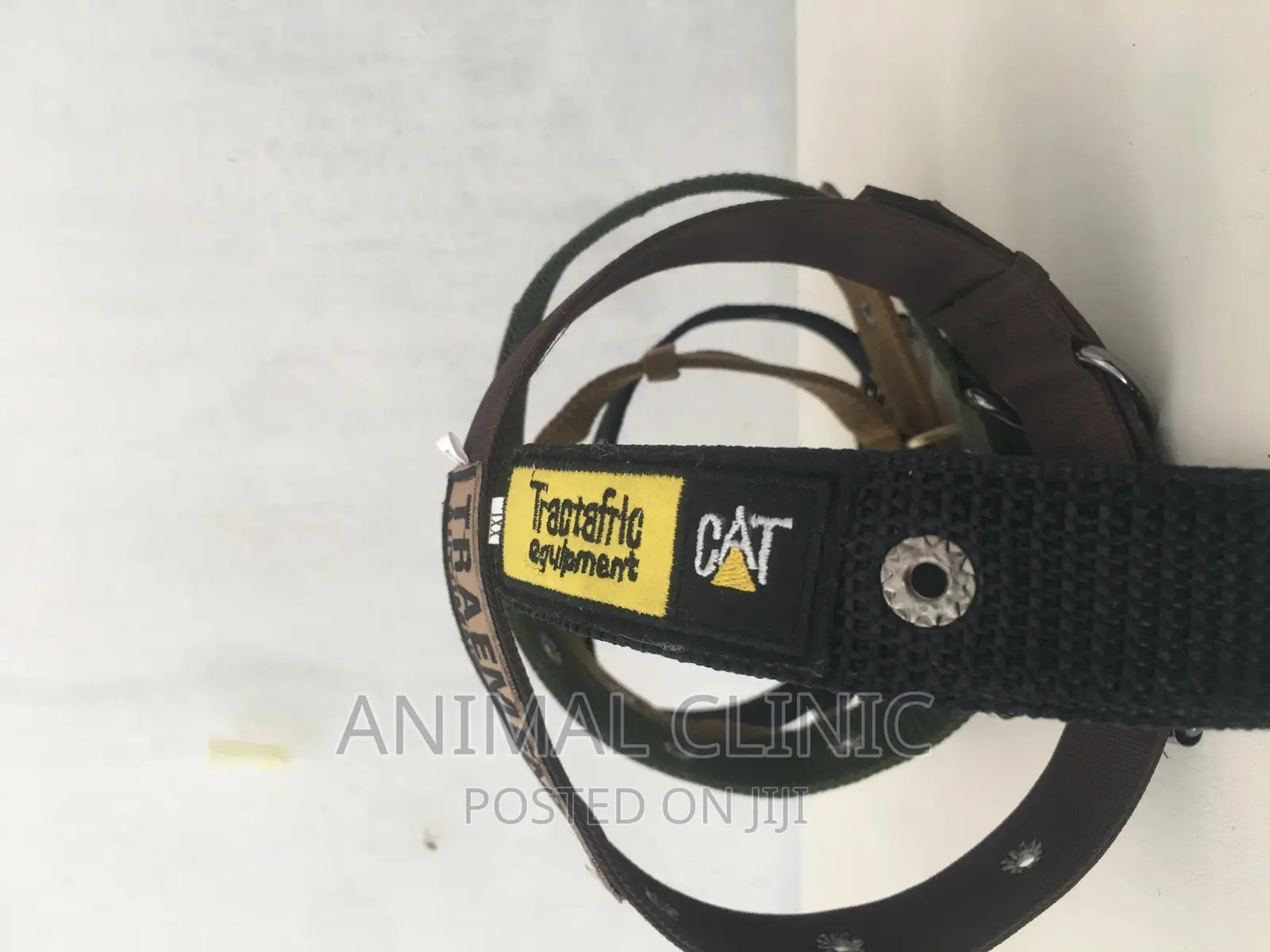Dog Accessories
