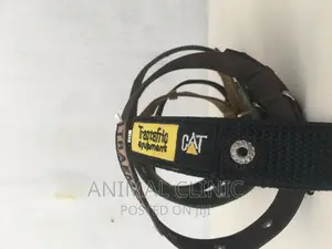 Dog Accessories