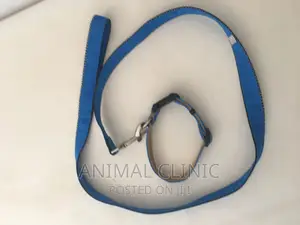 Dog Accessories