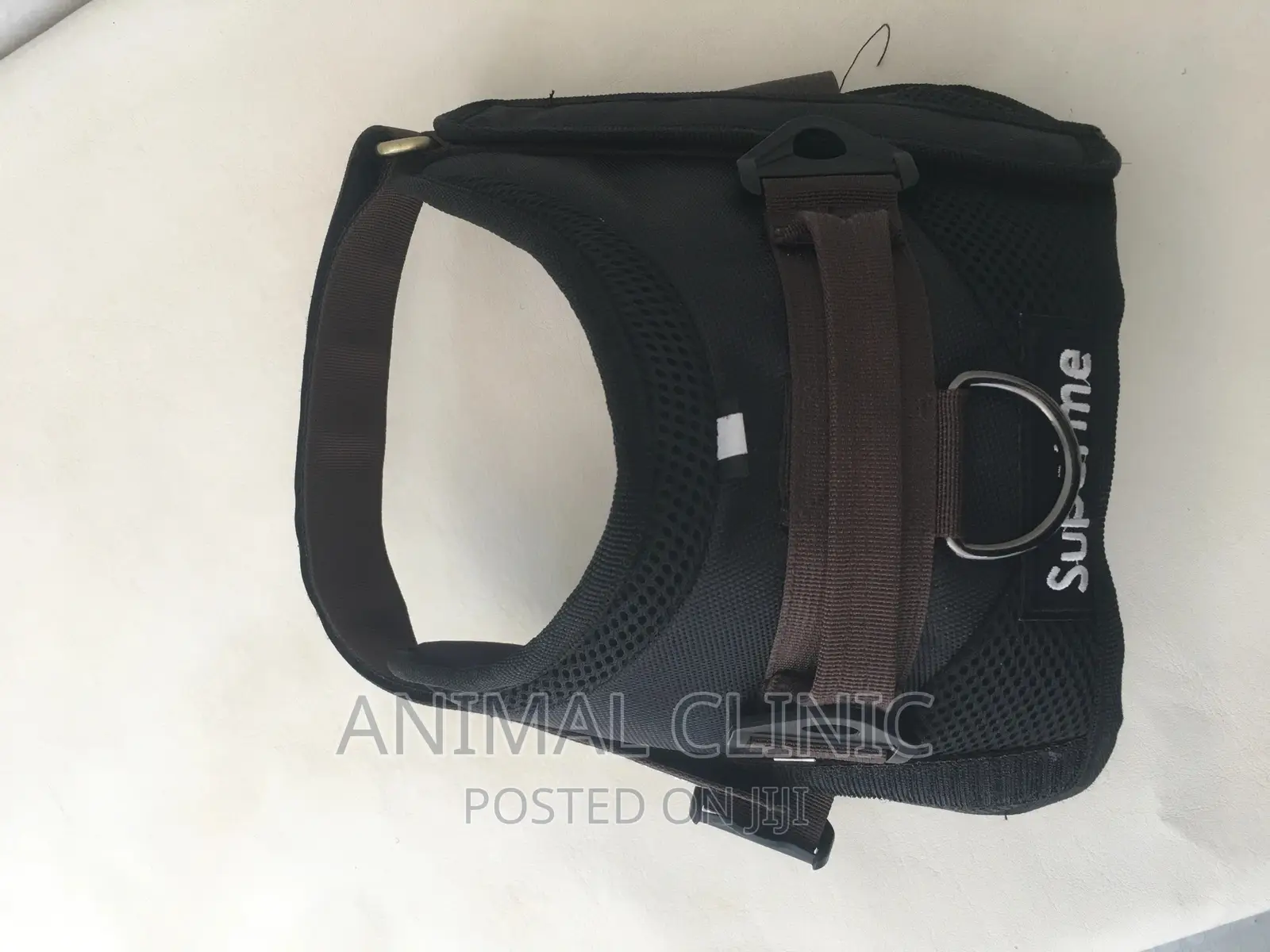 Dog Accessories