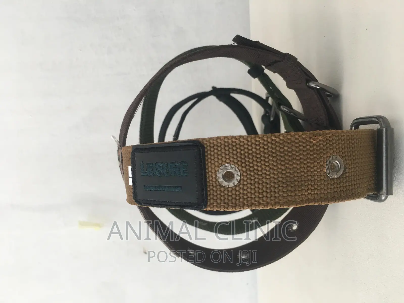 Dog Accessories