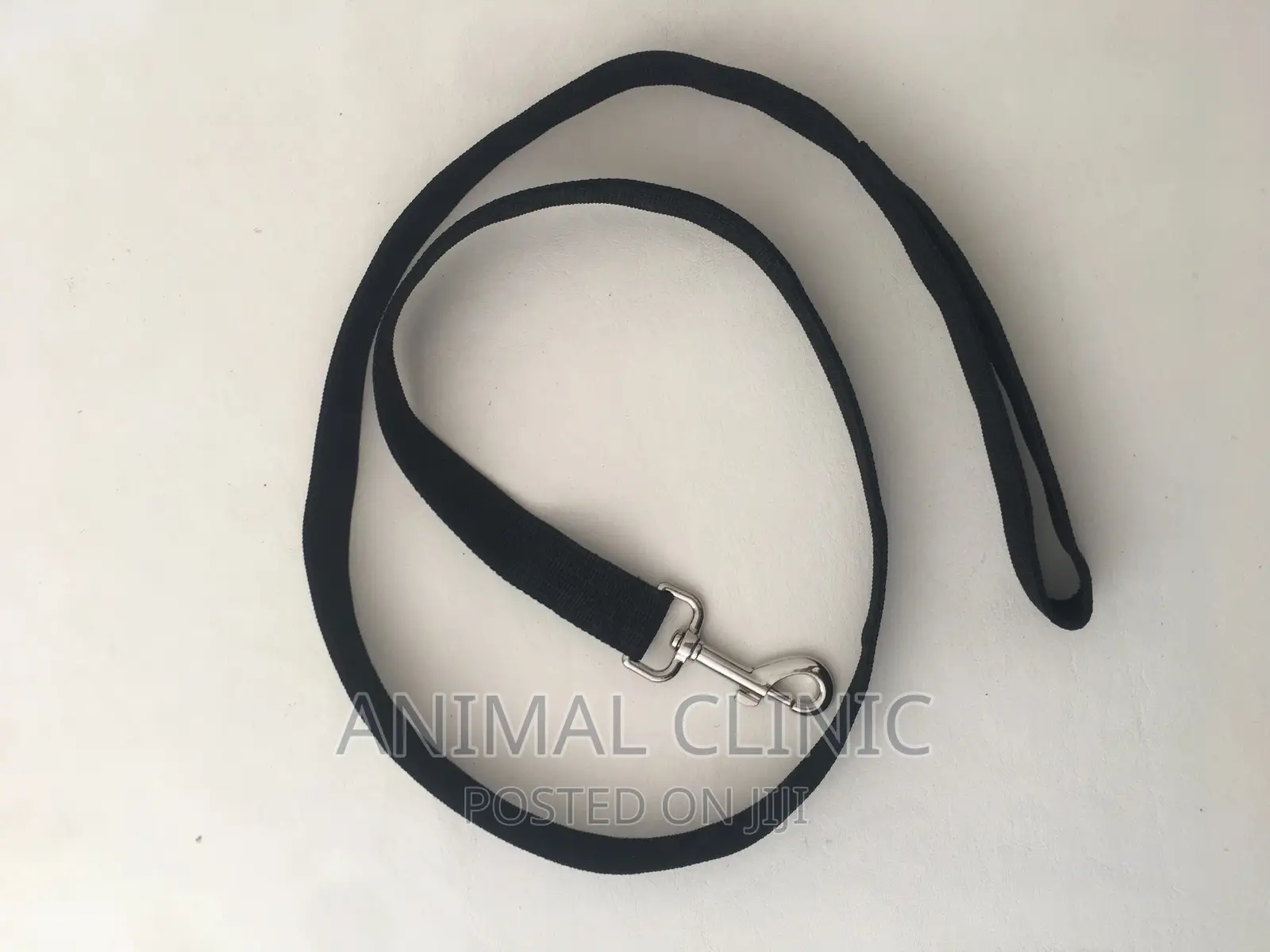 Dog Accessories