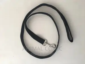 Dog Accessories