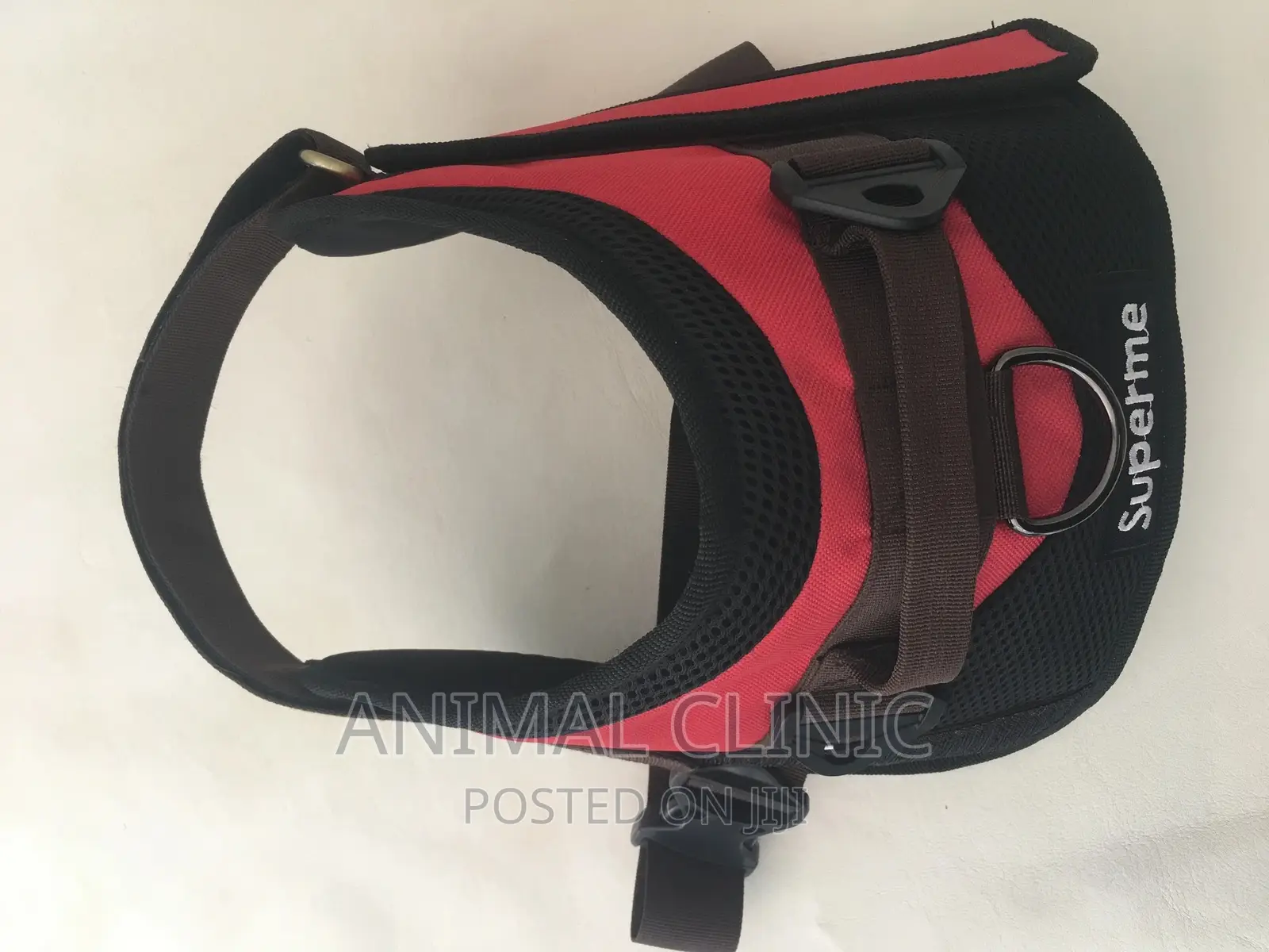 Dog Accessories