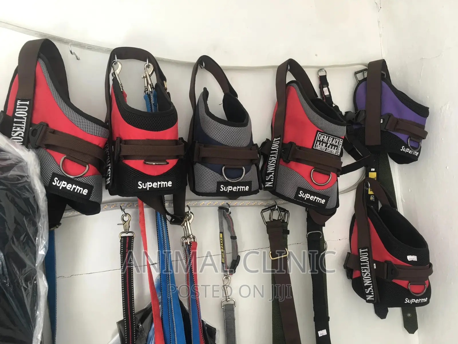 Dog Accessories