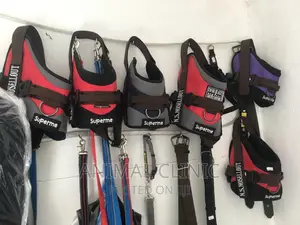 Dog Accessories