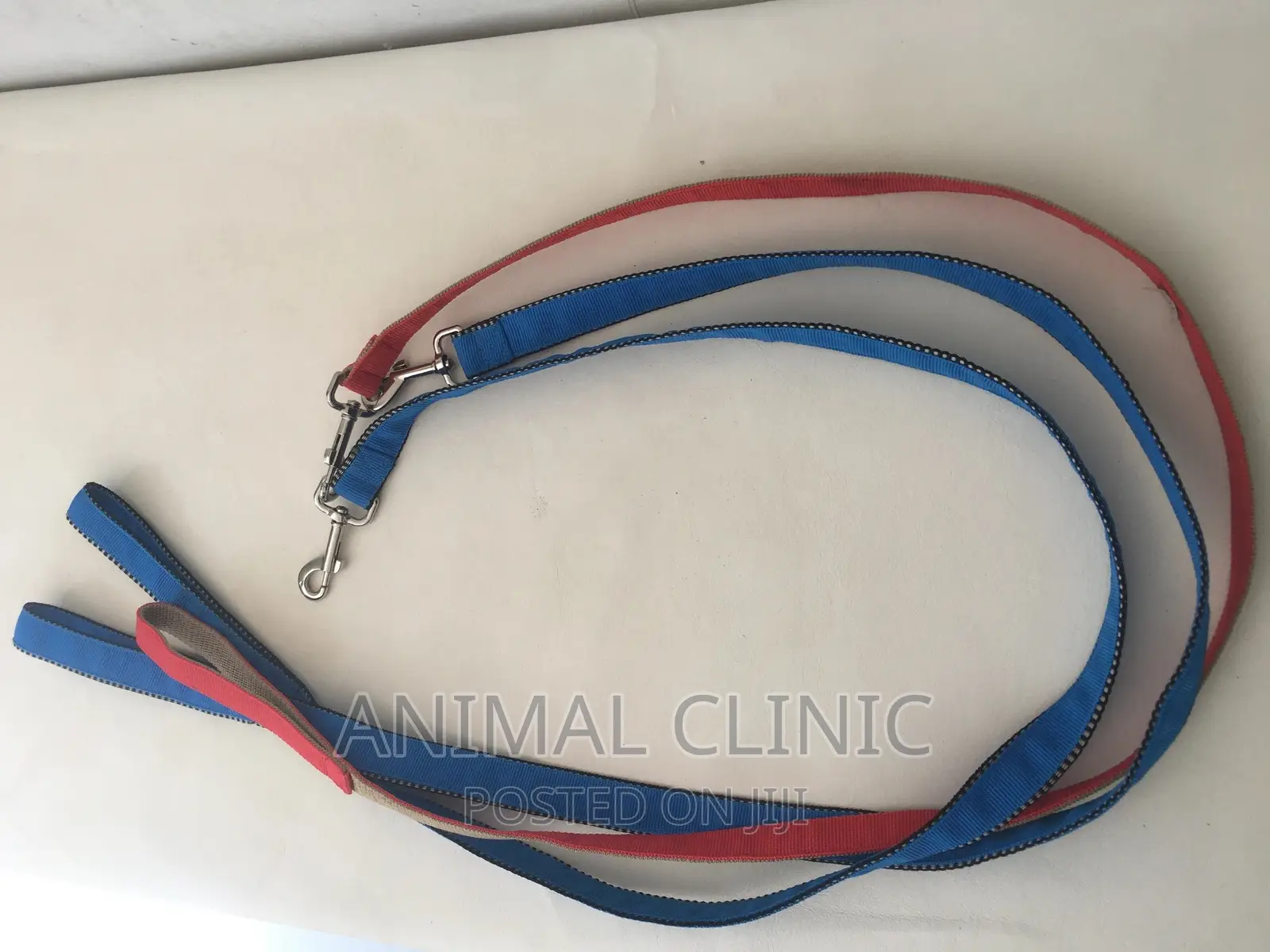 Dog Accessories
