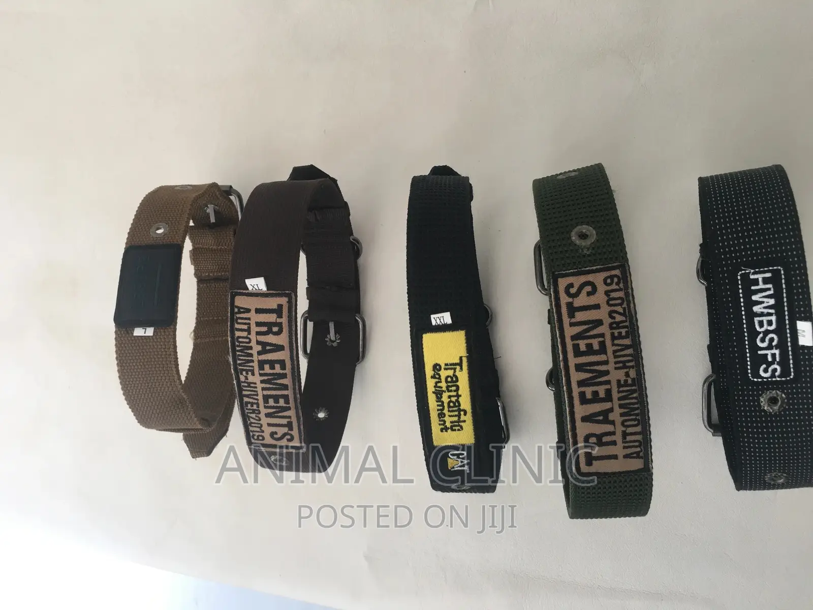 Dog Accessories