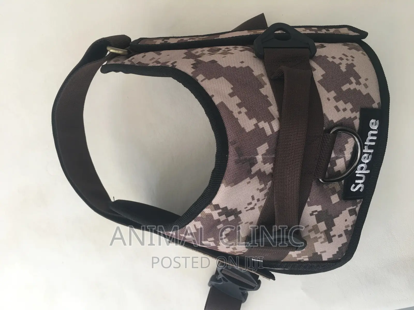 Dog Accessories