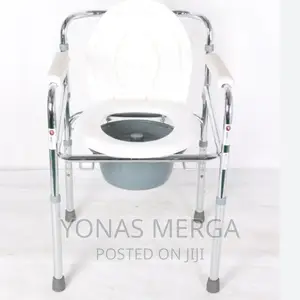 Shower/Toilet Chair Waterproof/Easily Clean : The Armrests