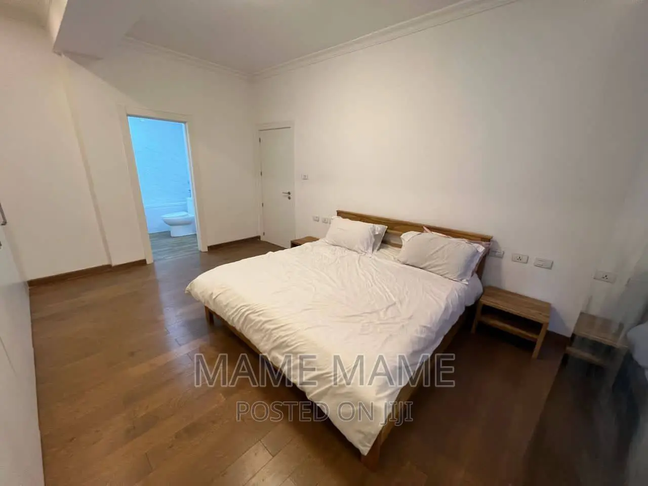 Furnished 2bdrm Apartment in Addis Abeba, Bole for rent