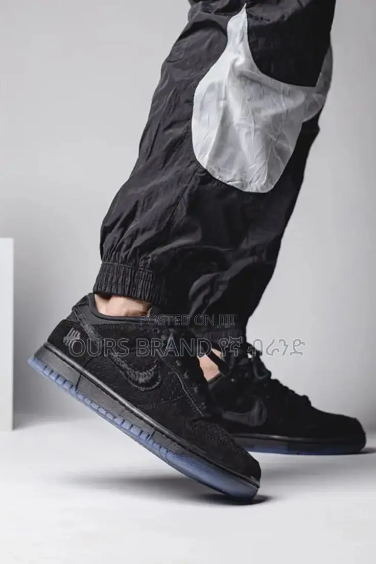 Premium Master Quality Nike Dunk
