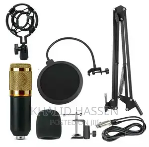 Condenser Microphone With V8 Sound Card