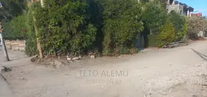የሚሸጥ ቦታ አያት ኮምፓውድ