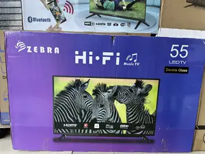 Zebra 55 Smart Tv