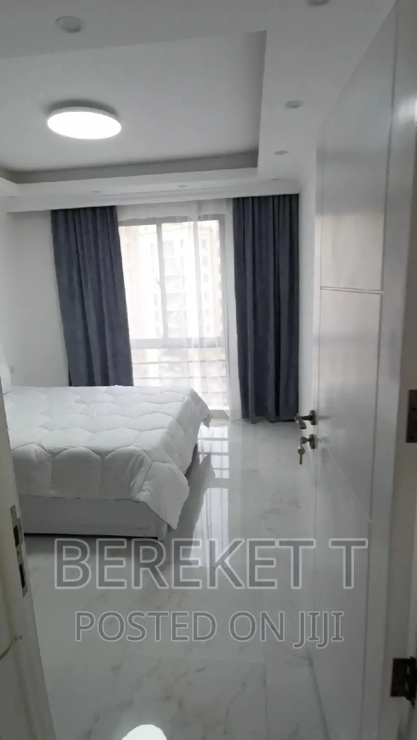 Furnished 2bdrm Apartment in Tsehay Real Estate, Bole for rent