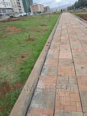 Furnished 20bdrm House in Hayat, Bole for sale