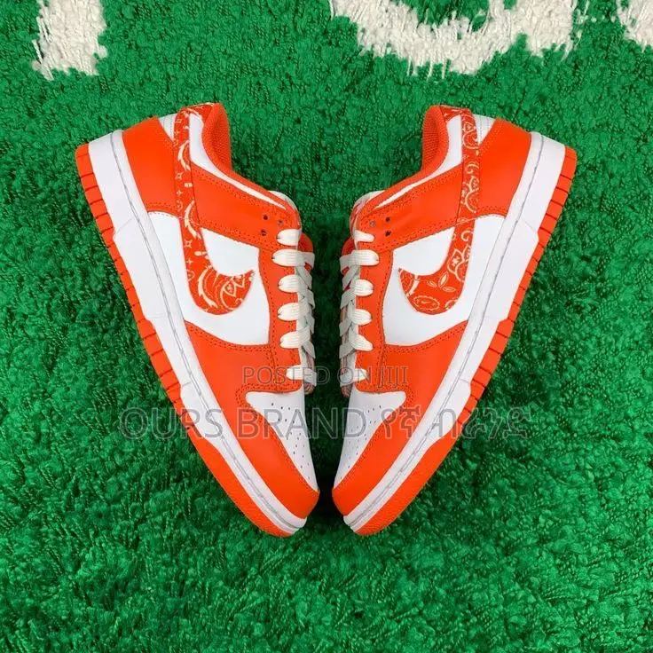 Premium Quality Nike Dunk Paisly