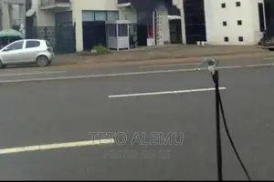 የሚሸጥ ቦታ ፌጋ ዋና አስፓልት ላይ ለገንቢዎች