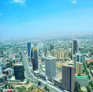 የሚሸጥ ቦታ ቦሌ ኤሪፖርት Vip በር ዋና አስፓልት ላይ