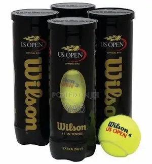 Wilson Tennis Balls 4