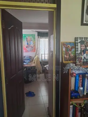 Furnished 3bdrm Condo in Ayat Tafo, Yeka for sale