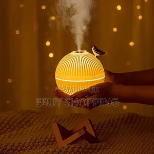 **Eco-friendly Usb Humidifier – Lightweight Energy Saving**