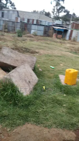 የሚሸጥ የድሮ ልማት ተነሽ ቦታ አያት