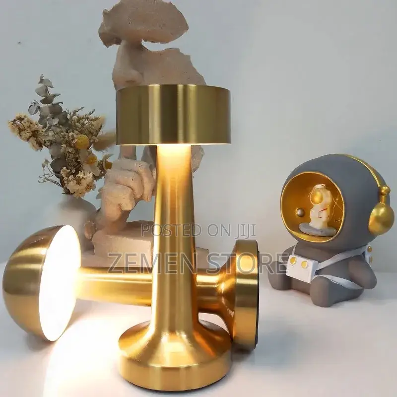 Incredible Rechargeable LED Table Lamp