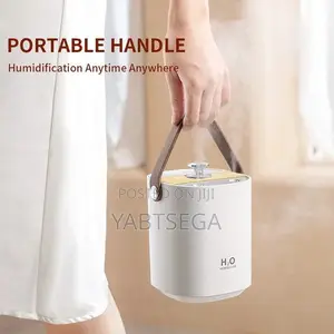 H2O Double Spray Humidifier