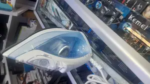Philips Steam Iron (የልብስ ካውያ)