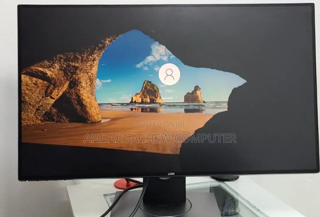Dell Monitor