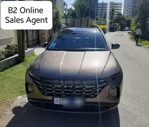 Hyundai Tucson 2023 Brown