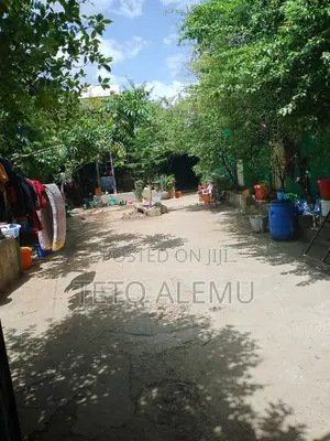 የሚሸጥ ቦታ መስቀል ፍላወር