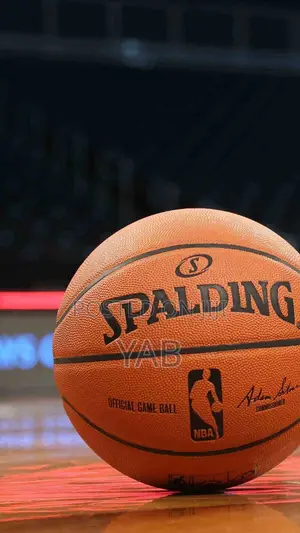 Spalding Indoor/Outdoor