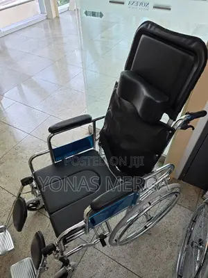 Toilet-Wheelchair Comfortable for Independence or Caretaker