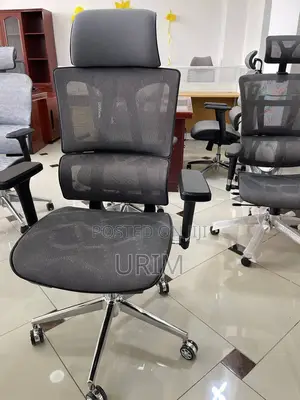 Ergonomic Chair