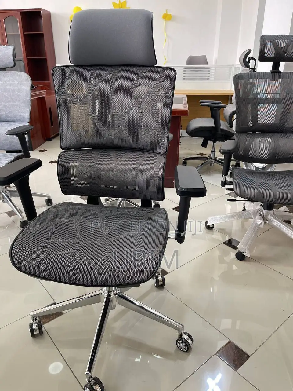 Ergonomic Chair